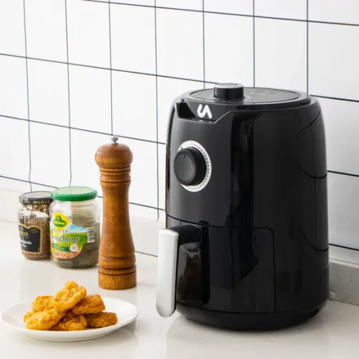 Mini Air Fryer